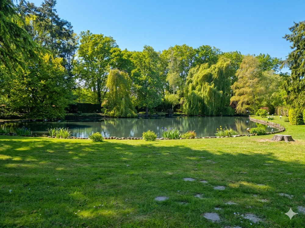 Vente Propriété/Château Magnifique petite propriété avec son etang Sully sur loire