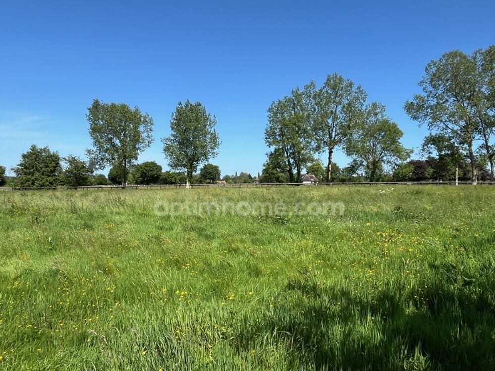 � vendre  Propri�t�/ch�teau Le Pin (14590)