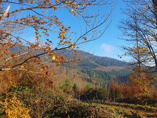  Appartement � vendre 2 pi�ces 48 m�