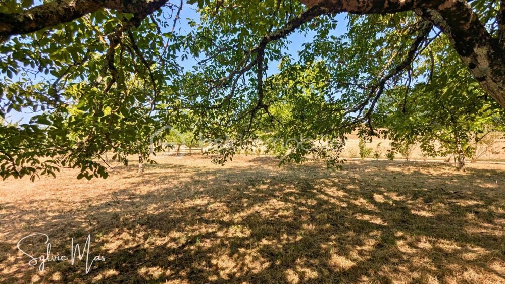 Vente Maison Ancienne maison de garde-barrière au cœur de la nature Soturac