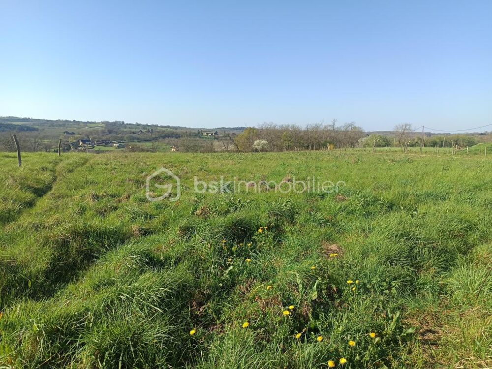 Vente Terrain ? Plus d'un hectare de liberté à Nailhac : Terrain XXL avec double zone constructible ! Nailhac