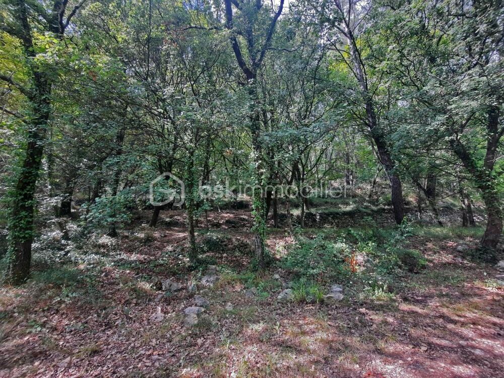 Vente Terrain Terrain de loisirs avec source d'eau FAYENCE Fayence