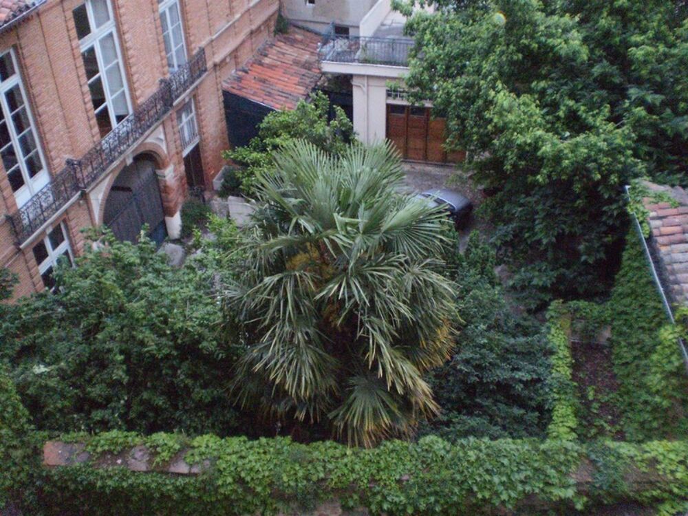 Vente Appartement TOULOUSE HYPER CENTRE Appartement T3 67 M² Toulouse