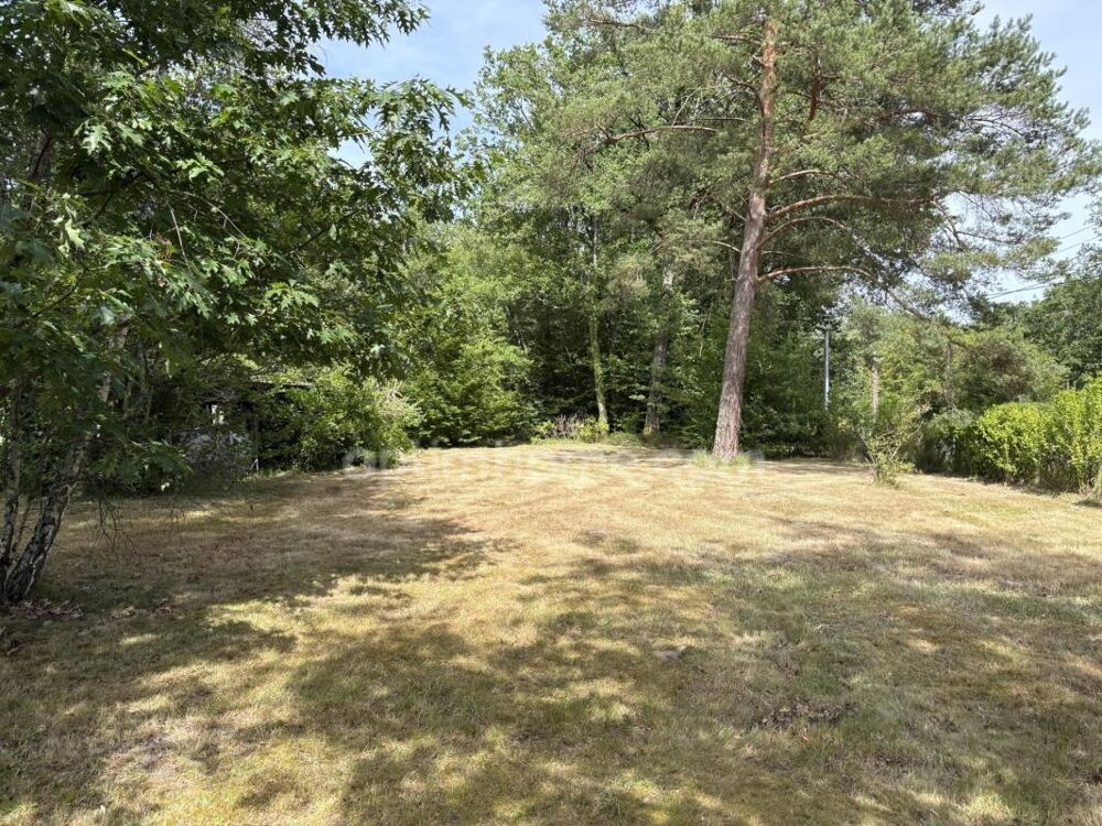 NANCAY, 12 kms de l'A71 SALBRIS MAISON DE CAMPAGNE au calme en très bon état