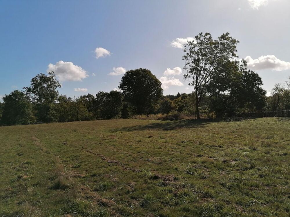 Vente Terrain Ploërmel . Terrain exceptionnel de 4 000 m² avec 700 m² constructibles Ploermel