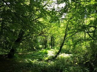  Propri�t�/ch�teau � vendre 15 + pi�ces 330 m�