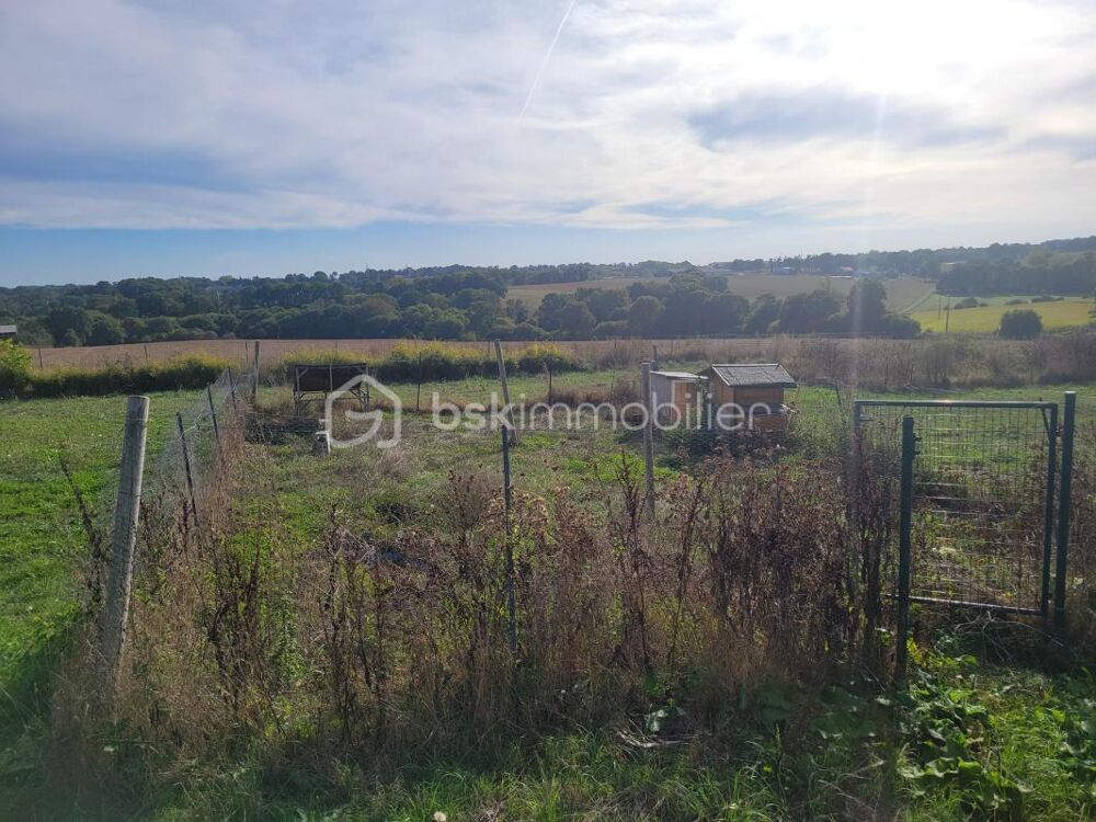 Vente Maison PLEUGRIFFET - 2 MAISONS + 2 HANGARS + 9 839 m² - PROJET RÉNOVATION Pleugriffet