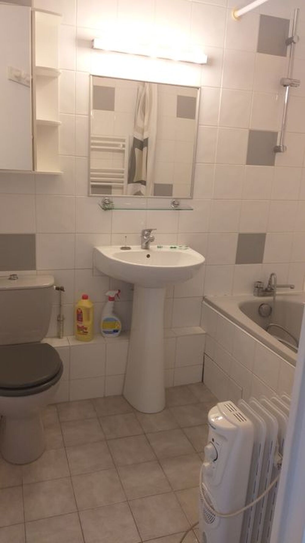 Location Appartement Studio de 30m2 à louer sur Lyon 07 Lyon 7