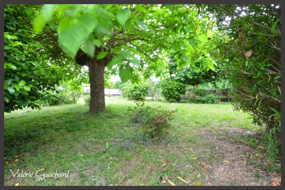 Maison familiale ou investissement à Port-Sainte-Foy-et-Ponchapt  175 m²  5 chambres  Double logement  Jardin 1038 m²