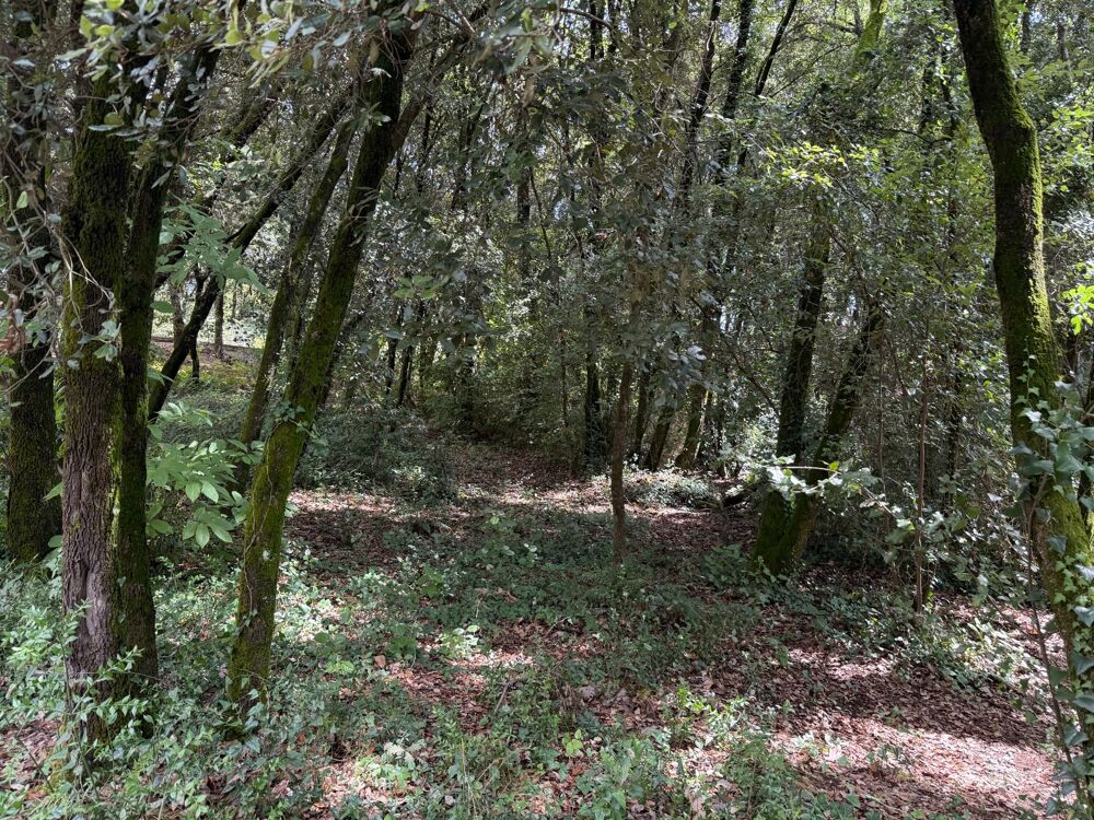 Vente Terrain Terrain à bâtir à vendre 1032 m2  CENDRAS (30480) Cendras