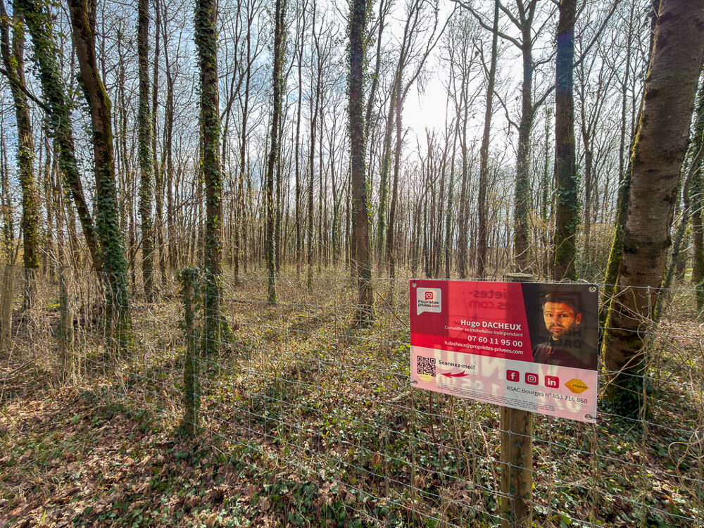 Vente Terrain Terrain constructible - 6783 m² - Boisé - Thenioux