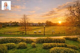  Appartement � vendre 4 pi�ces 84 m�