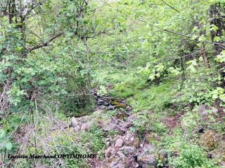  Terrain � vendre 65135 m�