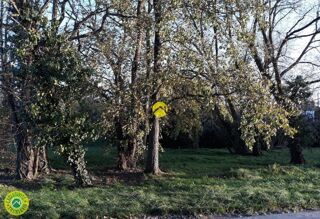  Terrain � vendre 760 m�