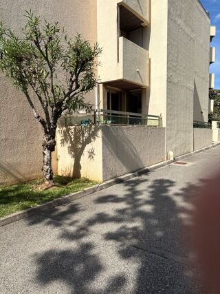  Appartement � louer 1 pi�ce 21 m�