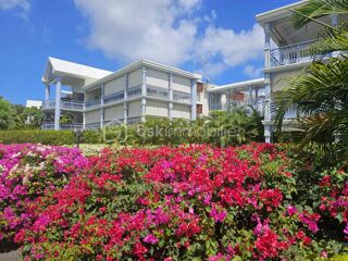  Appartement � vendre 1 pi�ce 41 m�