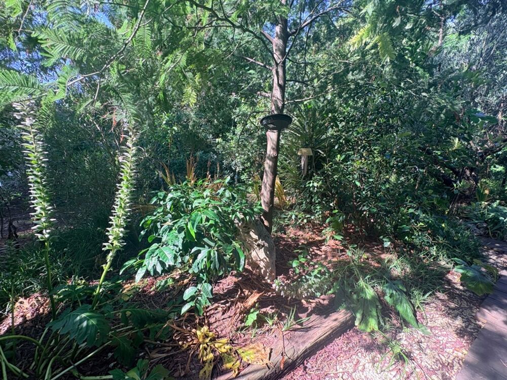 Vente Maison Maison de plus de 150 m² avec grand jardin arboré – Enorme potentiel – Fréjus Frejus