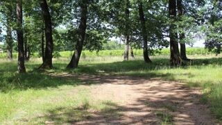  Propri�t�/ch�teau � vendre 1 pi�ce 1000 m�