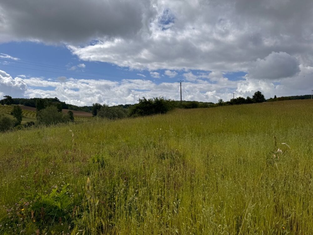 Vente Terrain Dpt Lot et Garonne (47), à vendre PUYMIROL terrain Puymirol