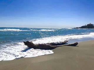  Appartement � vendre 3 pi�ces 45 m�