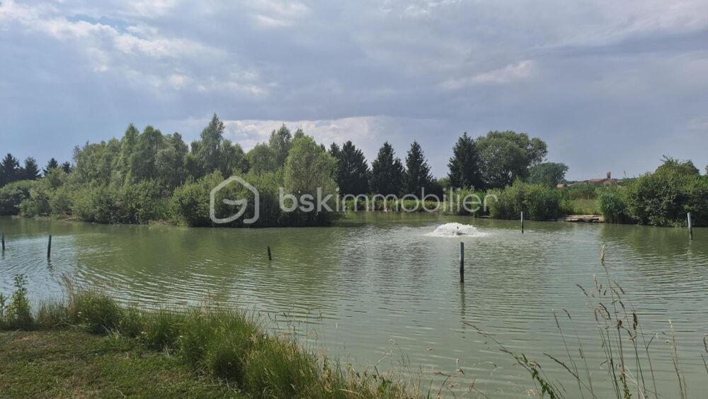 Vente Terrain UN CADRE DE VIE HORS DU COMMUN – PROPRIÉTÉ DE 3,5 HECTARES AVEC ÉTANGS Remilly