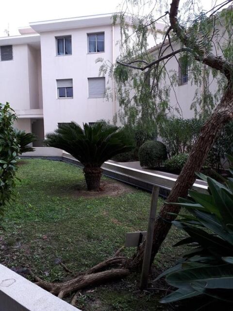  Appartement � louer 3 pi�ces 53 m�