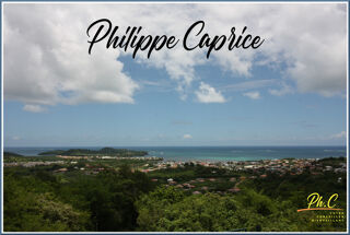  Terrain  vendre 43000 m