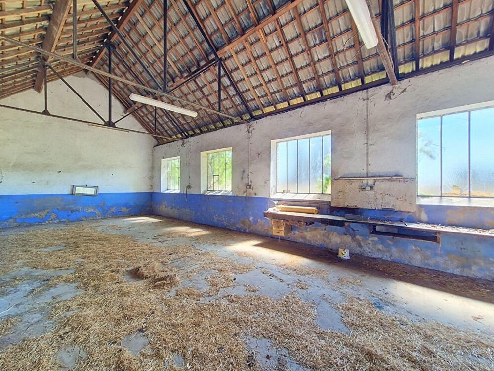 Vente Maison Maison Avord 5 pièce(s) 85 m2 Avord