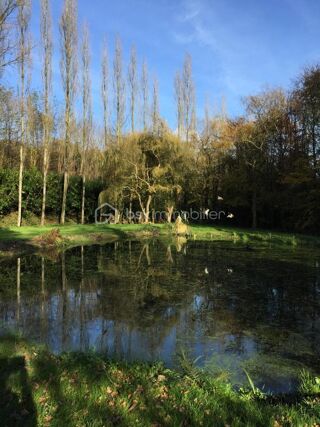  Propri�t�/ch�teau � vendre 8 pi�ces 223 m�