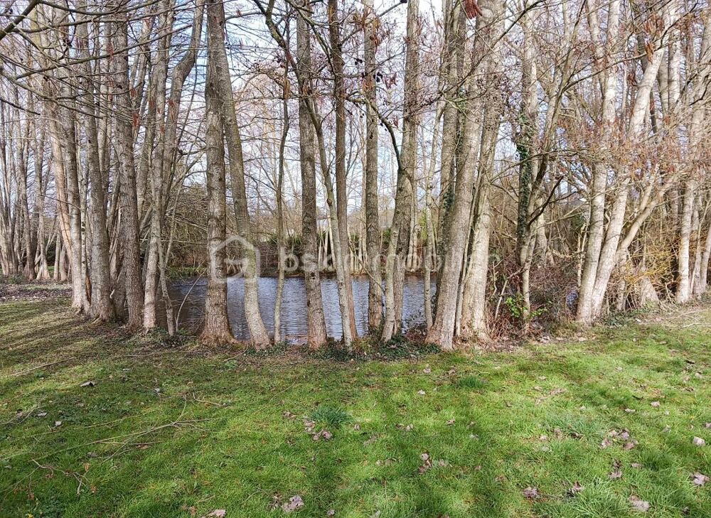 Vente Terrain terrain de loisirs Craon