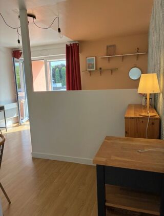  Appartement à louer 1 pièce 30 m²