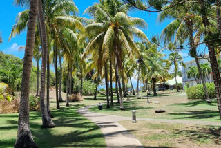  Appartement � vendre 1 pi�ce 19 m�