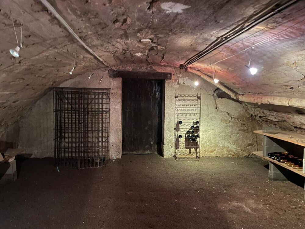 � vendre  Propri�t�/ch�teau Sichamps (58700)