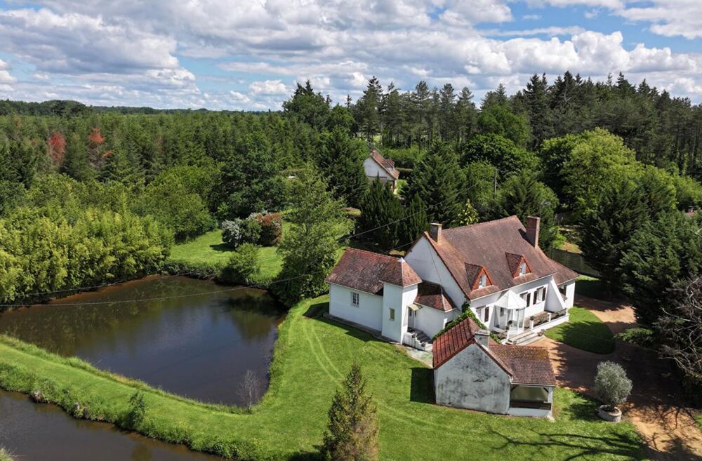 Maison Villeneuve Sur Allier 5 pièce(s) 220 m2