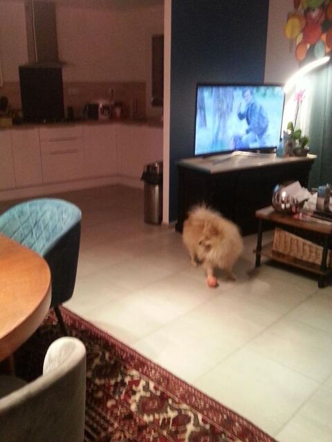   Chambre de 12m2 � louer sur Marignane Appartement - 1 pi�ce(s) - 12 m�