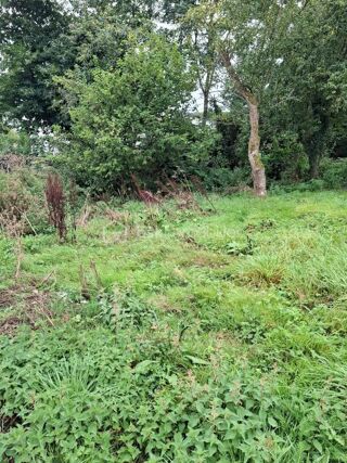  Remise / Grange à vendre 1 pièce 41 m²