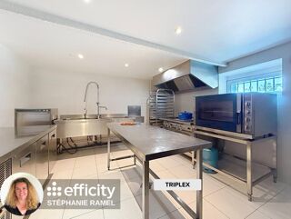  Maison à vendre 15 + pièces 505 m²