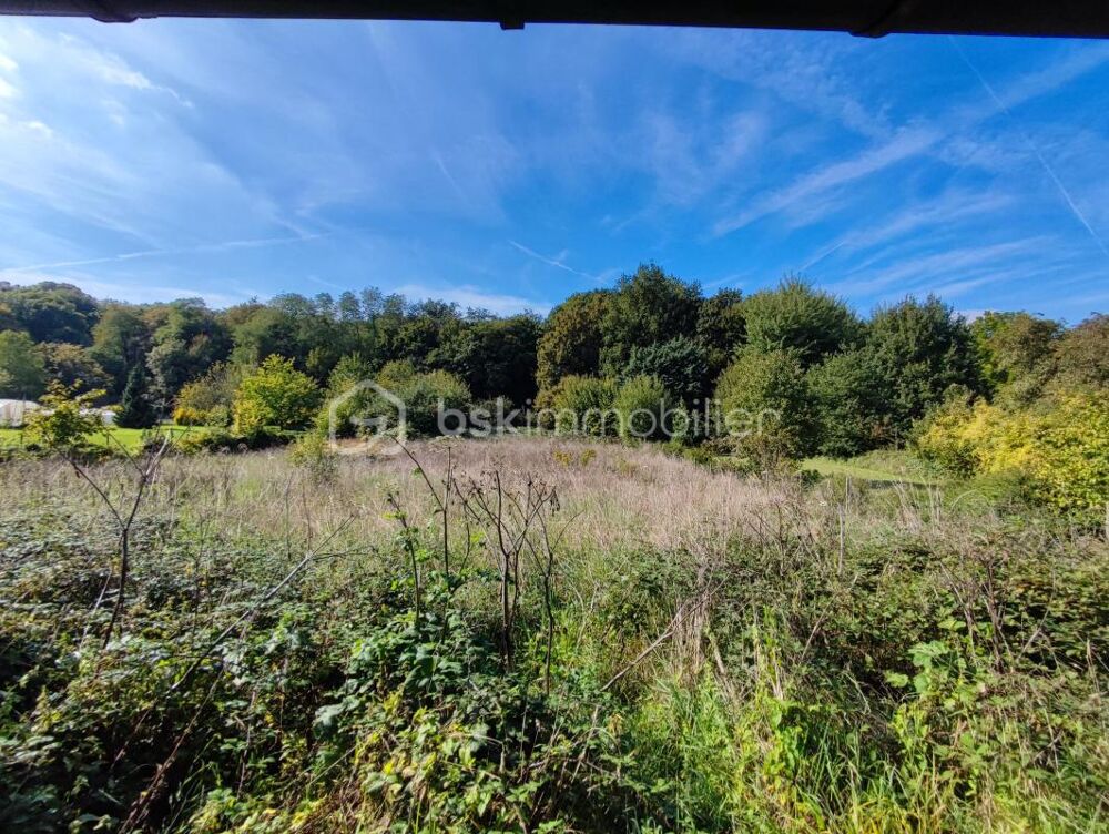 Vente Propri�t�/Ch�teau Une propri�t� comprenant deux habitations, une long�re de 100 m� et un logement de 42 m� avec une grange et d�pendances, cave su Thorigny sur oreuse