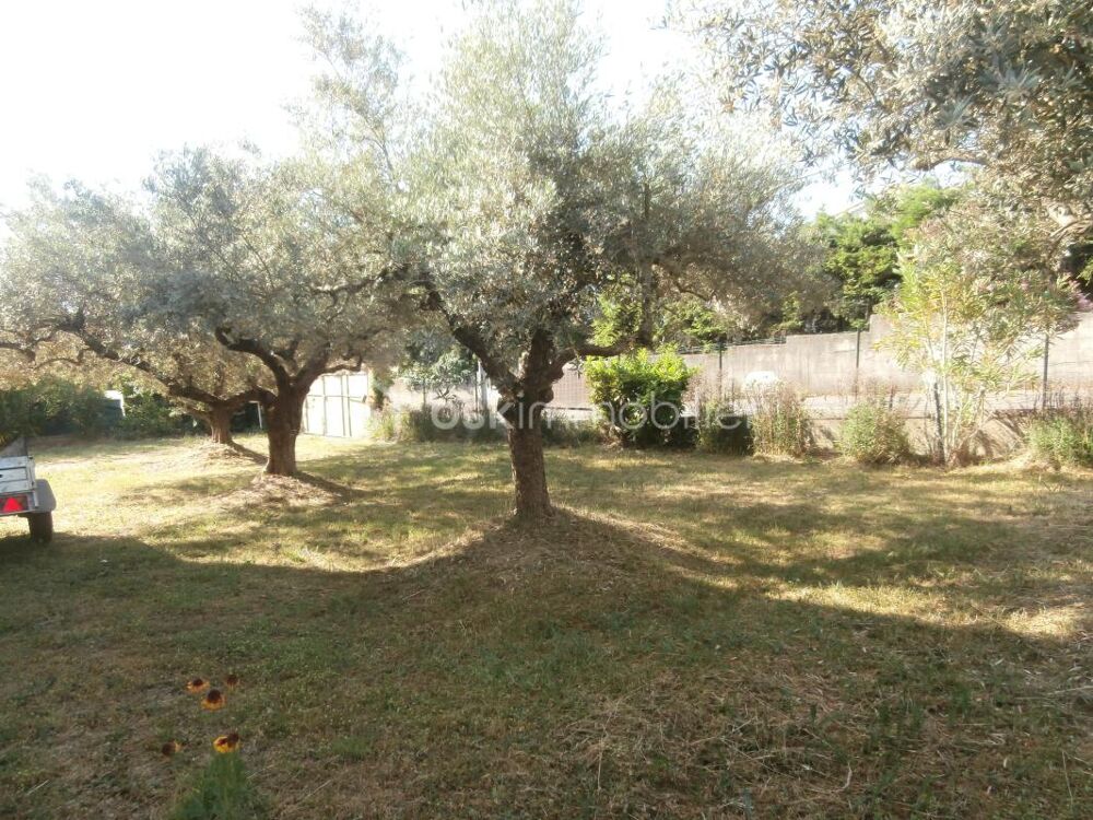 Bastide 1974