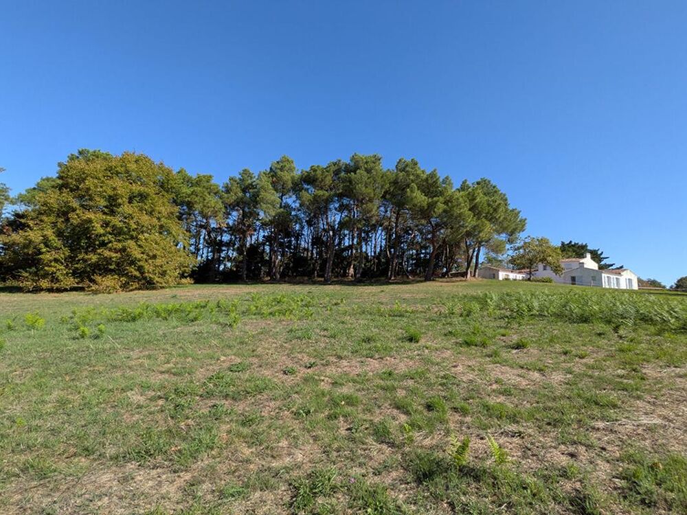 Maison 4 chambres, 160m², bourg de la Chapelle Basse Mer, Divatte sur Loire (44450)