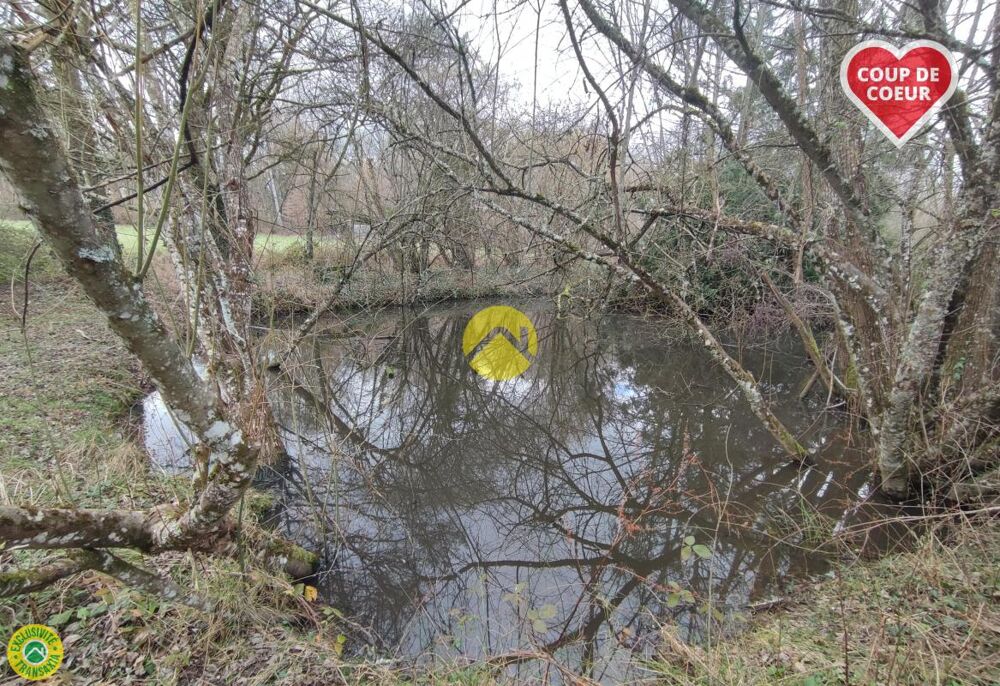 Vente Ferme UNE GUEULE D'ENFER! Vailly sur sauldre