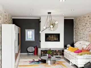  Propri�t�/ch�teau � vendre 10 pi�ces 300 m�