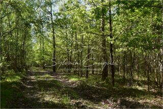  Terrain à vendre 1710000 m²