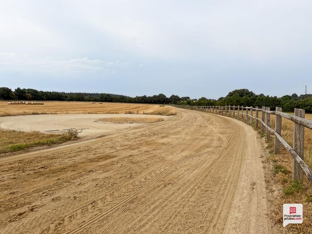 Propriété equestre Erdre En Anjou 7 pièce(s) 169 m2