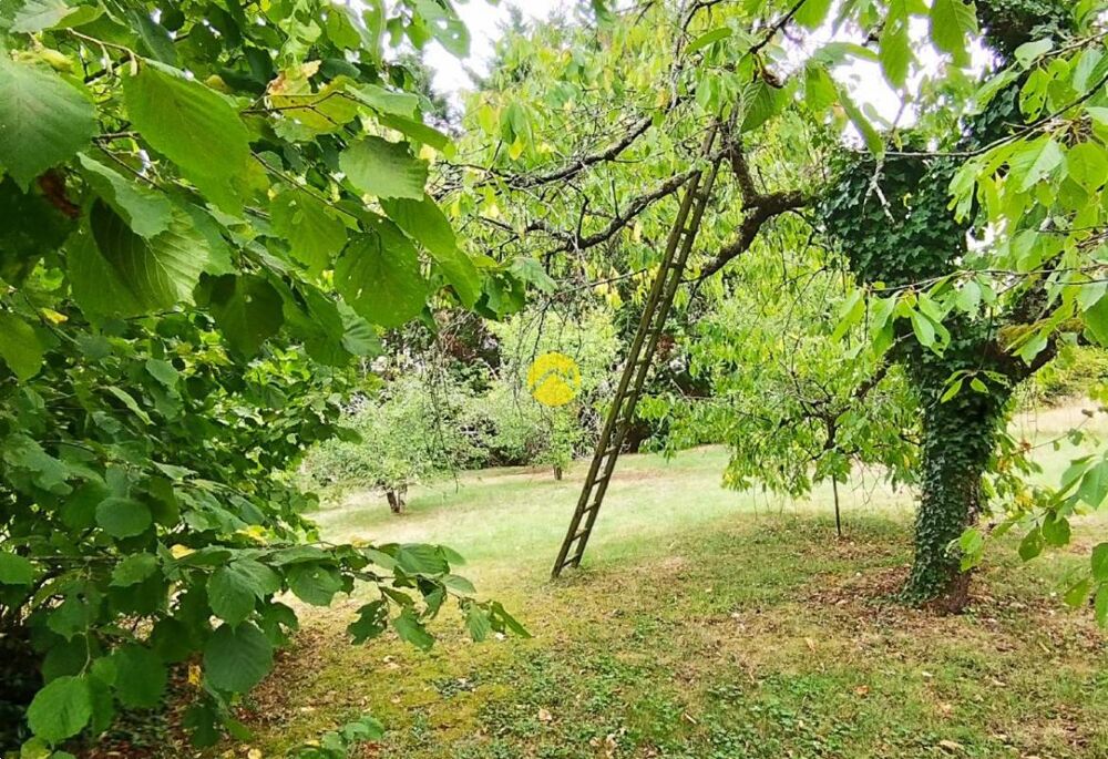 Vente Maison maison proche loire et canal Briare