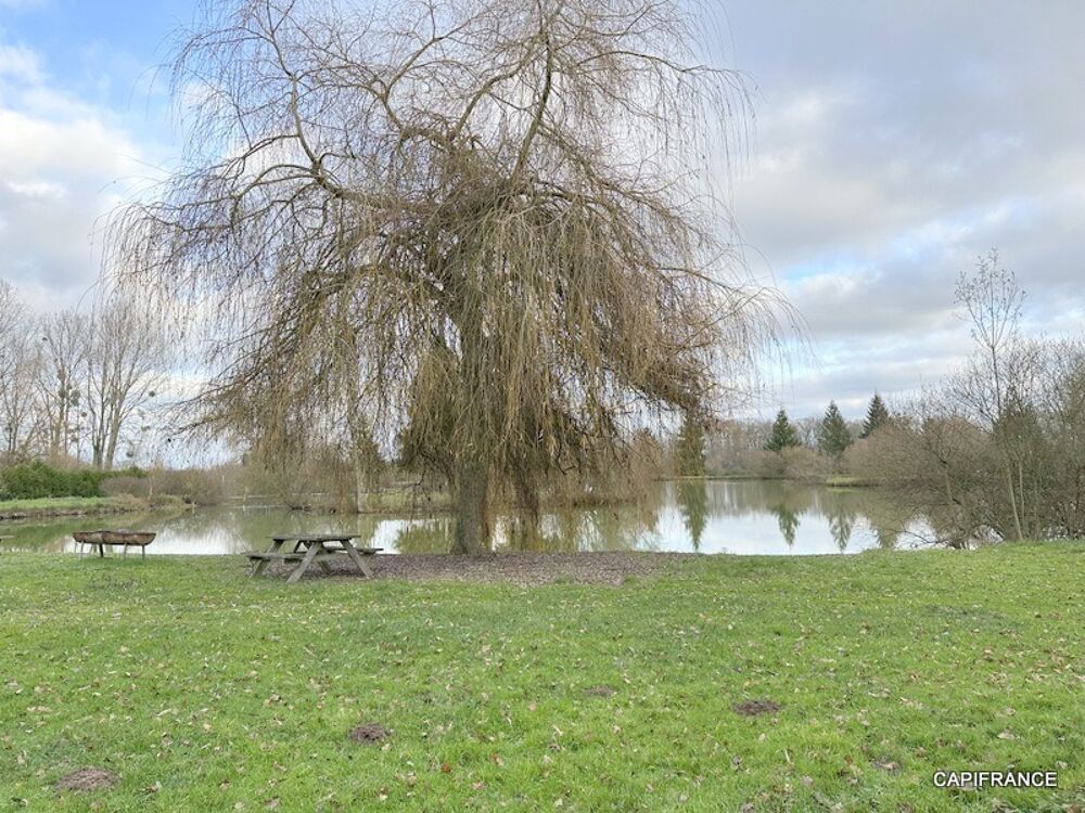Vente Terrain Terrain de loisir avec étangs proche de la Ferté-Bernard (72400) Lamnay