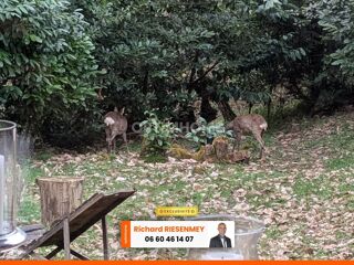  Chalet � vendre 3 pi�ces 42 m�