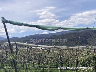  Terrain  vendre 40589 m