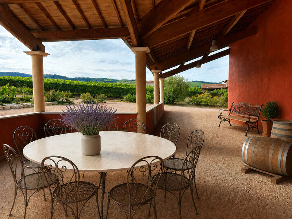 à vendre  Propriété/château Villié-Morgon (69910)