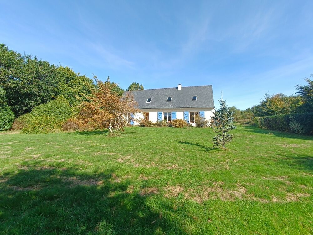 Vente Maison Grande maison à vendre 8 pièces (6 chambres) Berrien Berrien